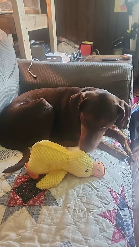 Cute Plush Duck Squeaky Toy for Dogs