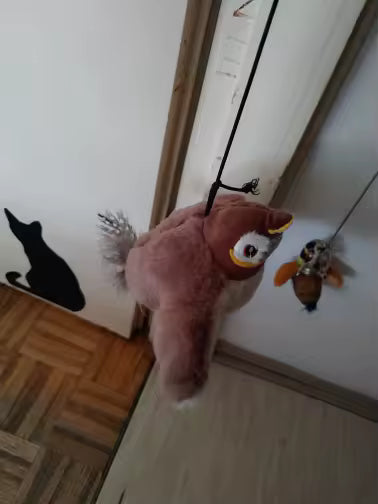 Interactive Bird Cat Toy with Catnip