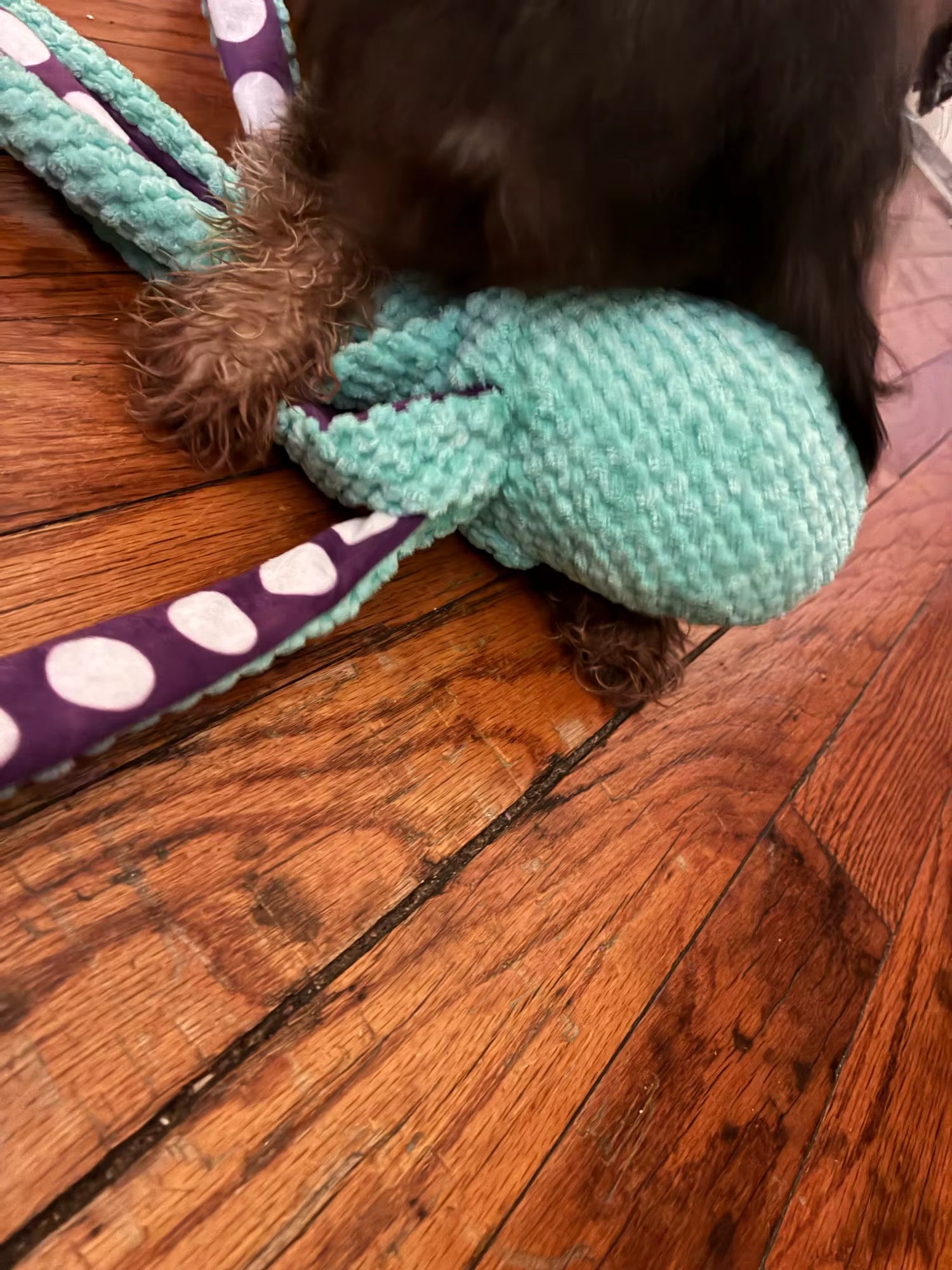 Plush Octopus Squeaky Toy for Dogs