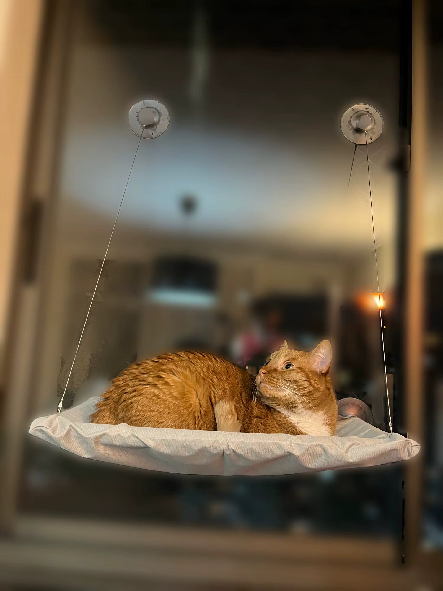 Ultra-Soft Cat Window Hammock Bed