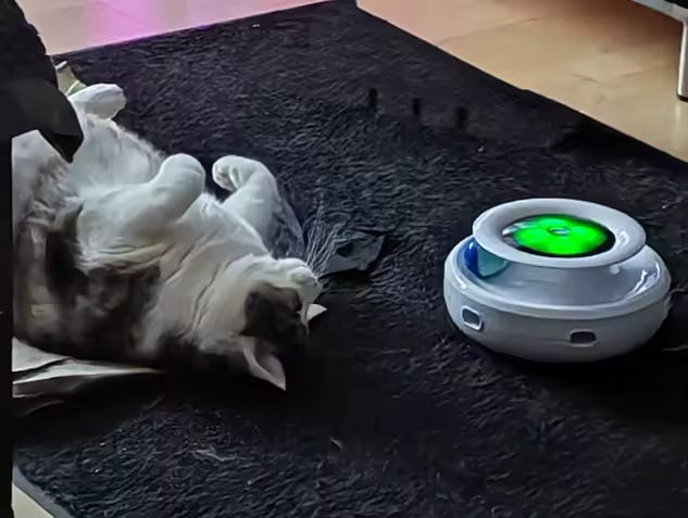 2-in-1 Automatic Interactive Cat Toy Set with Feather & Fun Ball