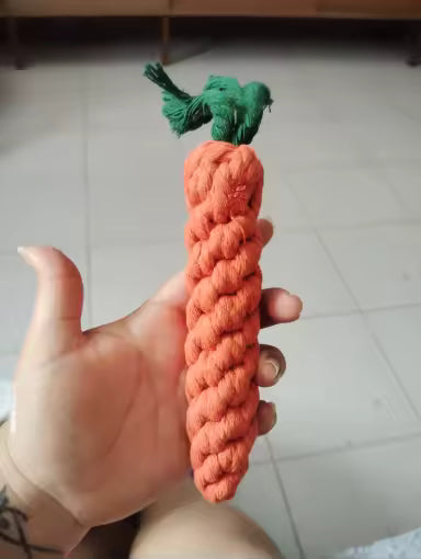 Carrot Rope Chew Toy for Dogs & Puppies