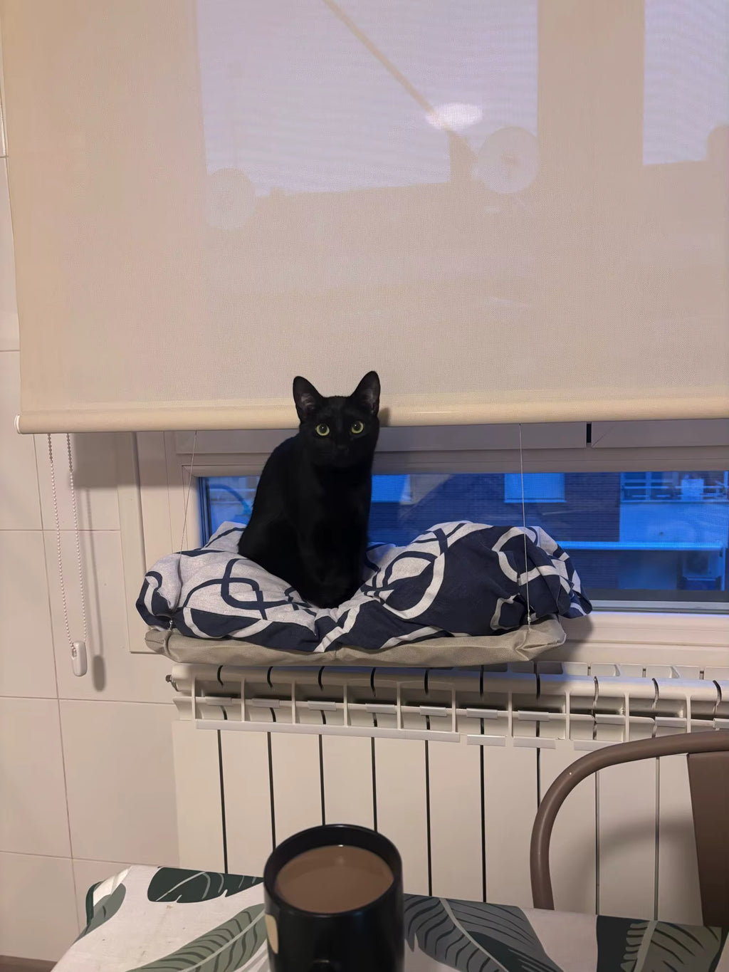 Ultra-Soft Cat Window Hammock Bed