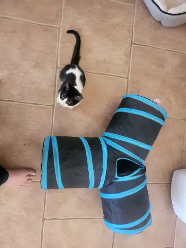 Foldable Cat Tunnel Play Toy for Indoor Cats