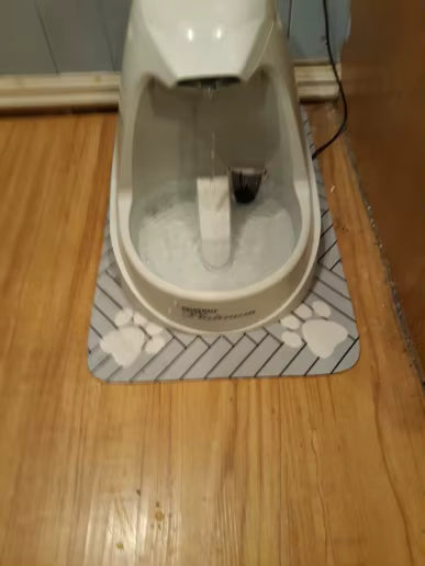 Quick-Dry Absorbent Pet Feeding Mat