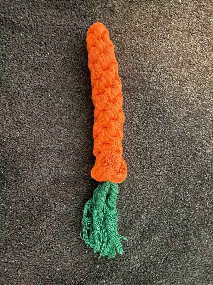 Carrot Rope Chew Toy for Dogs & Puppies