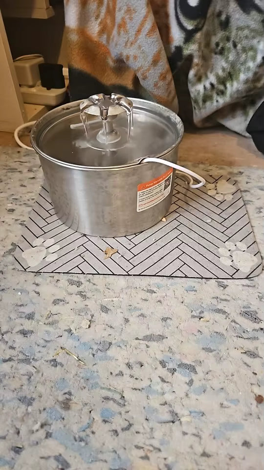 Quick-Dry Absorbent Pet Feeding Mat
