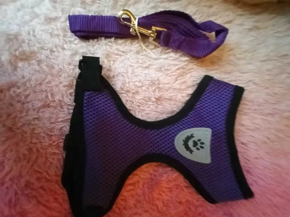Adjustable Mesh Dog Harness & Walking Leash Set