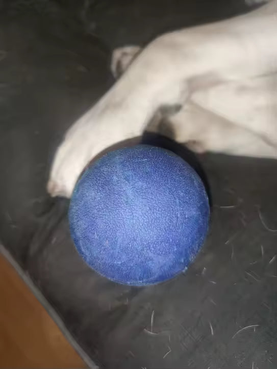 Durable Rubber Toy Ball for Dogs & Cats