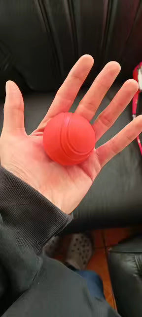 Durable Rubber Toy Ball for Dogs & Cats
