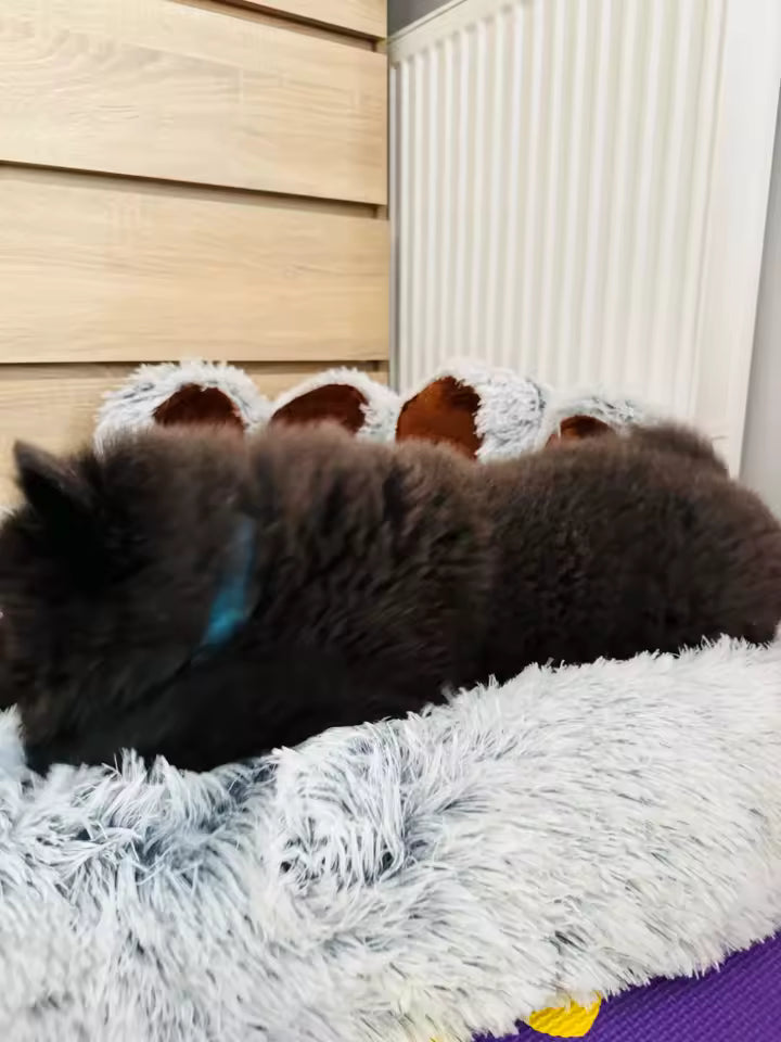 Ultra-Soft Fluffy Dog Bed