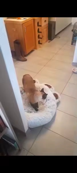 Ultra-Soft Fluffy Dog Bed