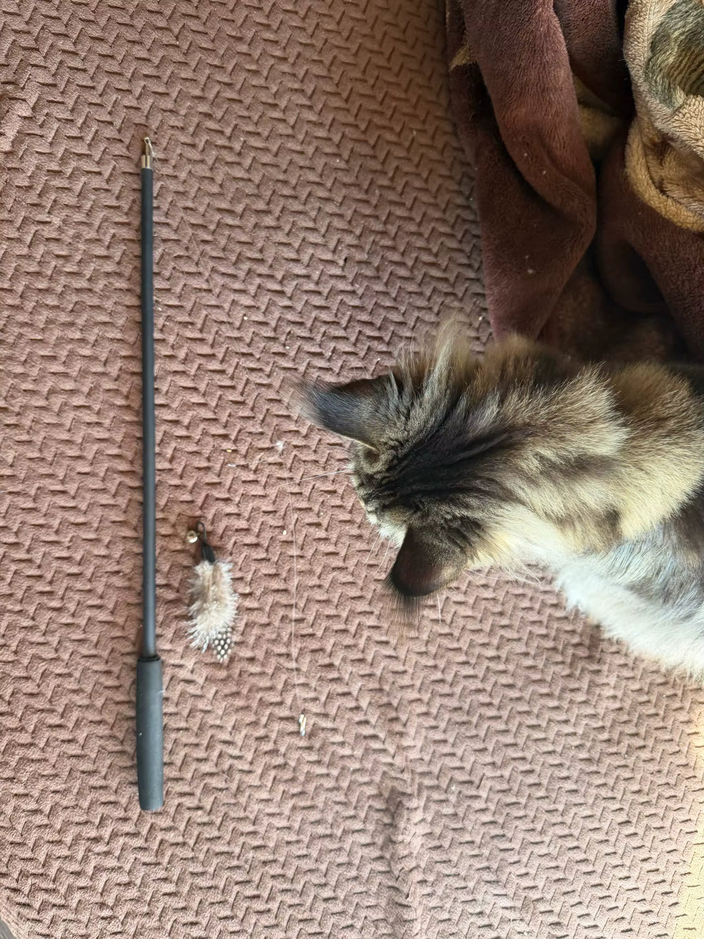Extendable Cartoon Cat Wand Toy with Feather Attachment