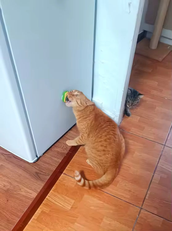 Rotatable Catnip Wall Ball Toy for Cats