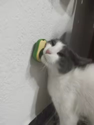 Rotatable Catnip Wall Ball Toy for Cats