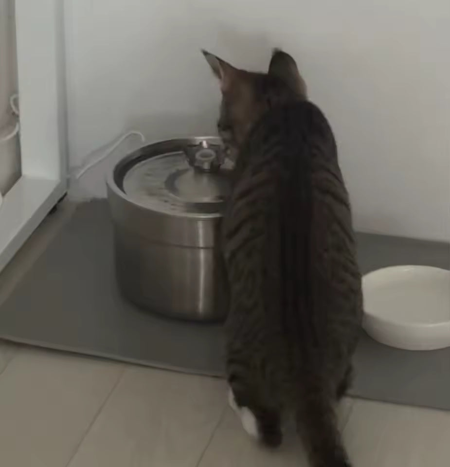 Stainless Steel Automatic Pet Water Fountain