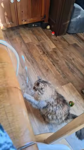 Interactive Silicone Mouse Tail Cat Teaser Toy