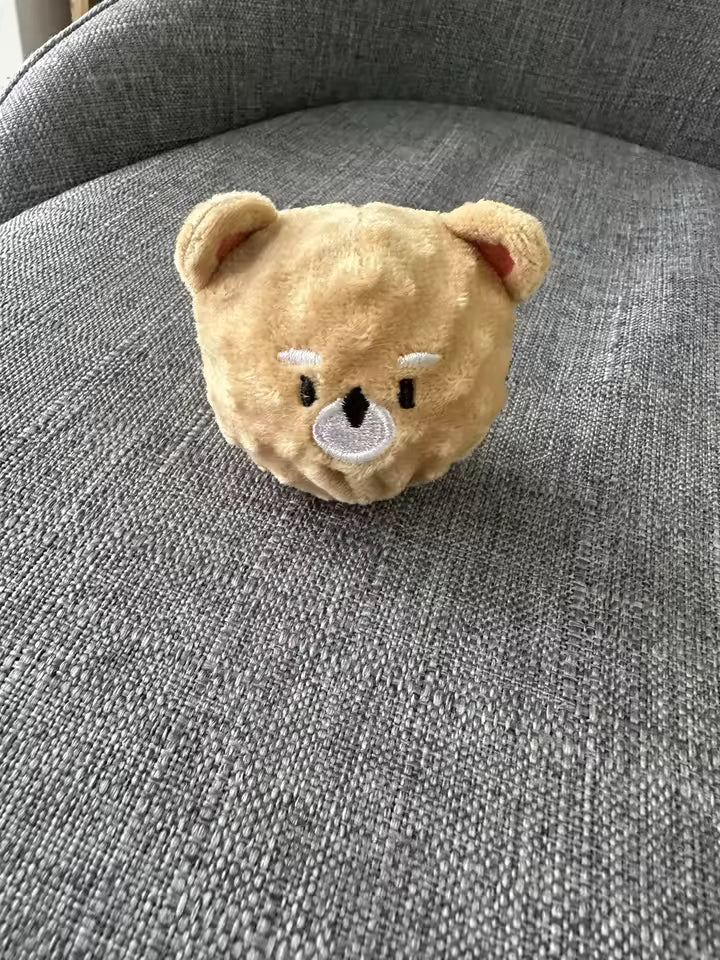 Spiked Squeaky Puppy Ball Toy for Teeth Cleaning