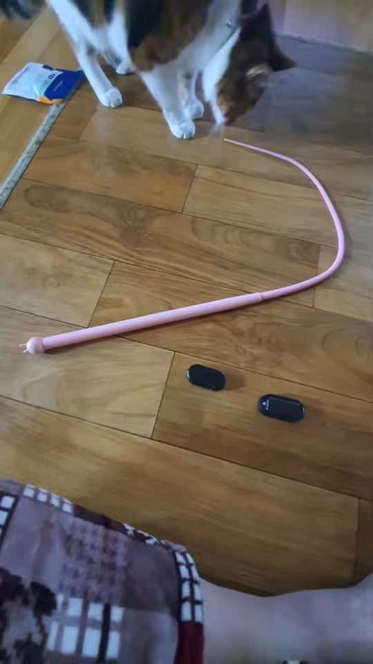 Interactive Silicone Mouse Tail Cat Teaser Toy