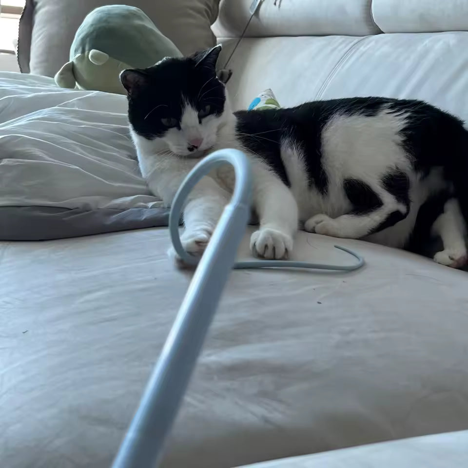 Interactive Silicone Mouse Tail Cat Teaser Toy