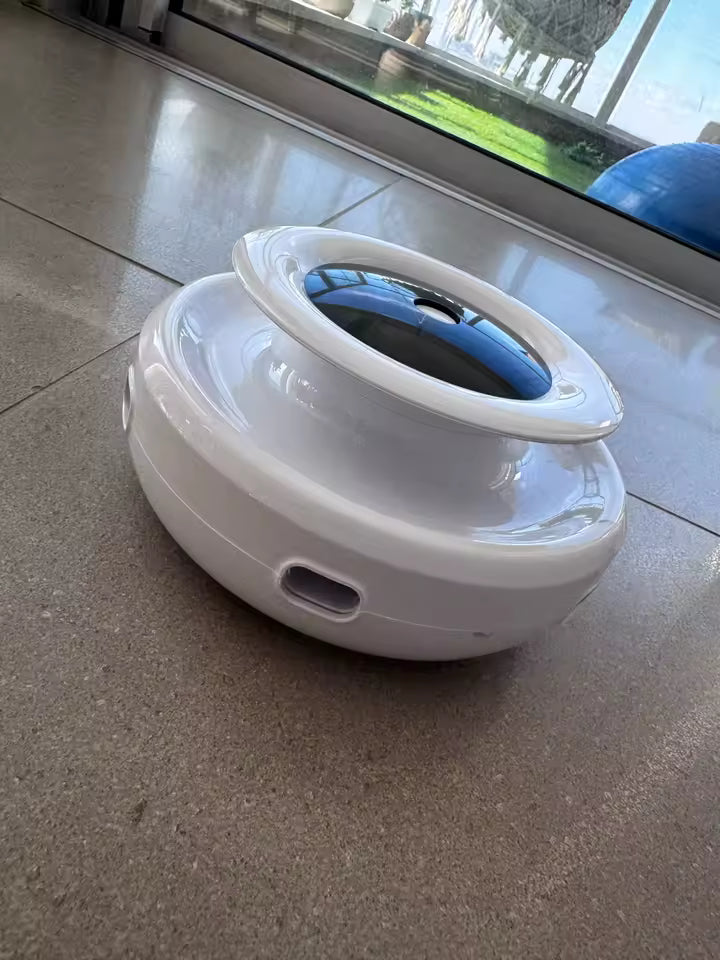 2-in-1 Automatic Interactive Cat Toy Set with Feather & Fun Ball
