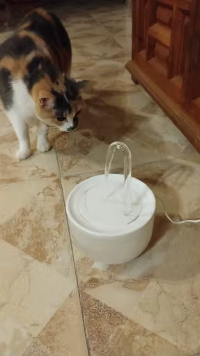 Automatic Pet Water Fountain with USB Filter System