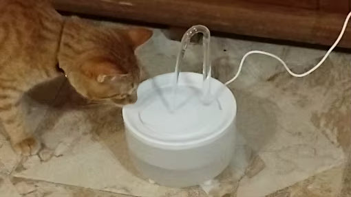 Automatic Pet Water Fountain with USB Filter System