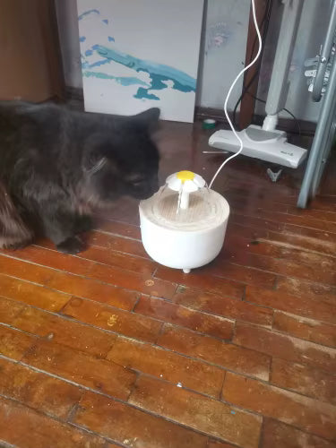 Automatic Pet Water Fountain with USB Filter System