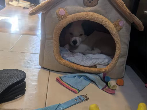 Foldable Cozy Pet House with Removable Cushion
