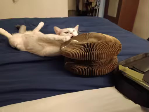 Organ-Shaped Cat Scratching Board & Lounger