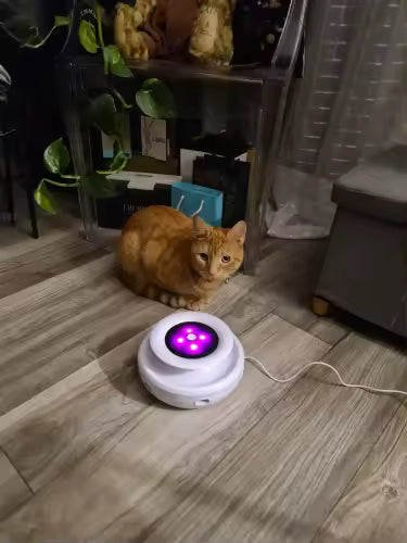 2-in-1 Automatic Interactive Cat Toy Set with Feather & Fun Ball