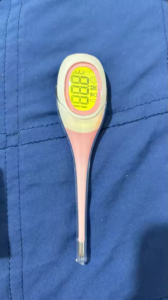 Digital LED Pet Thermometer for Dogs & Cats