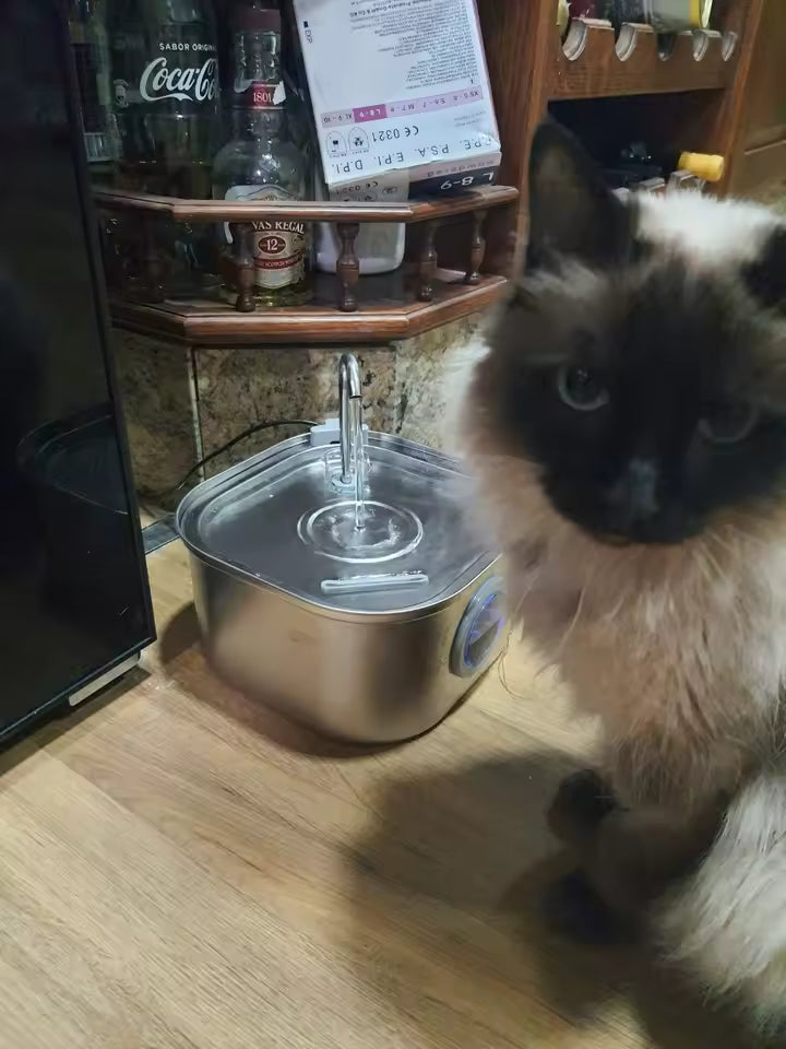 Replacement Filters for Automatic Pet Water Fountain