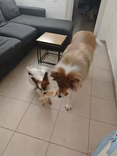 45cm Plush Squeaky Animal Chew Toy for Dogs