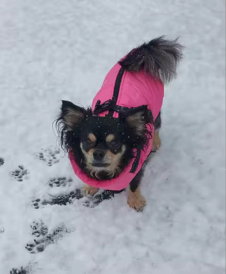 Waterproof Winter Dog Jacket with Built-In Harness