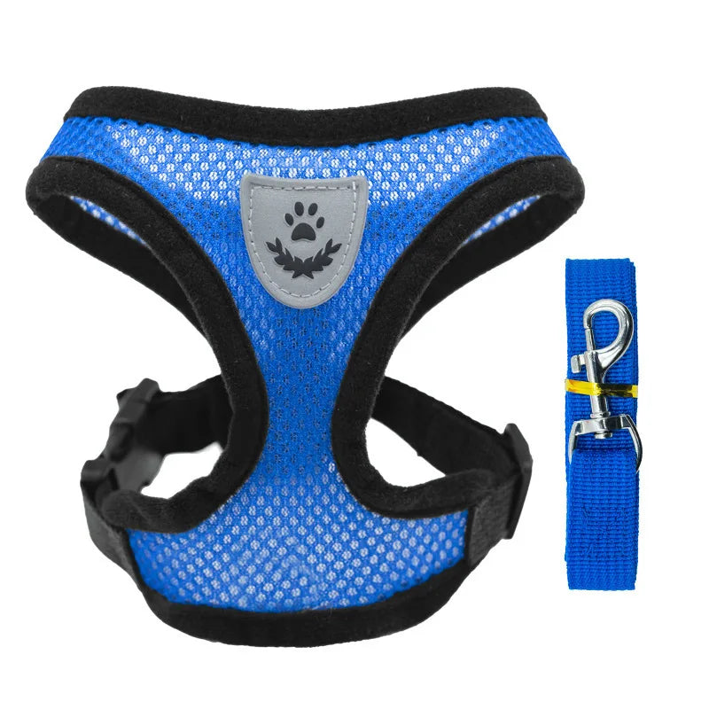 Adjustable Mesh Dog Harness & Walking Leash Set