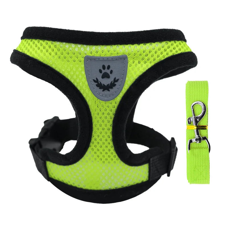 Adjustable Mesh Dog Harness & Walking Leash Set