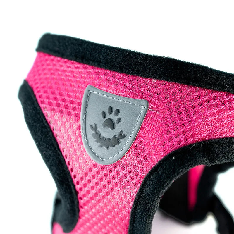 Adjustable Mesh Dog Harness & Walking Leash Set