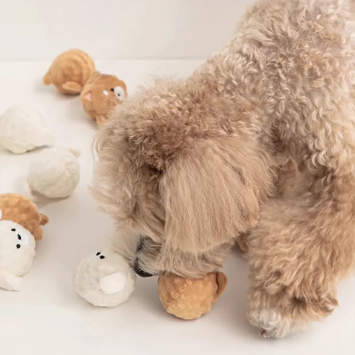 Spiked Squeaky Puppy Ball Toy for Teeth Cleaning
