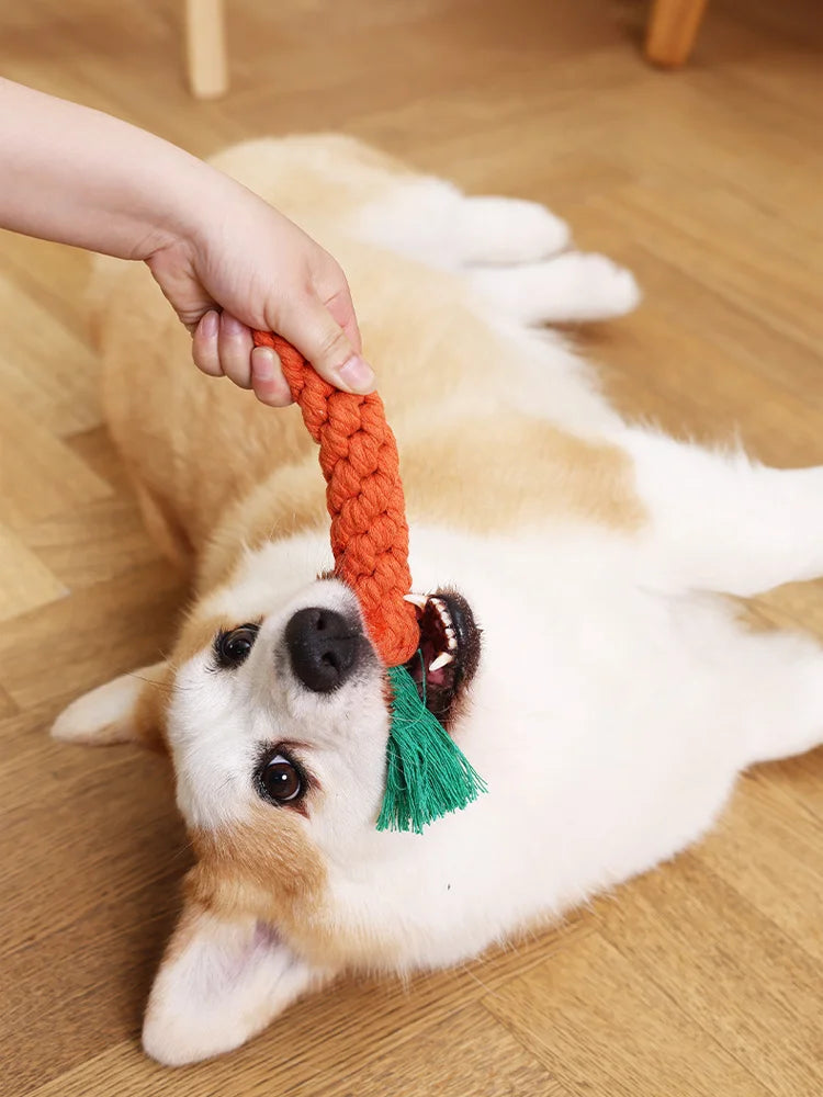 Carrot Rope Chew Toy for Dogs & Puppies
