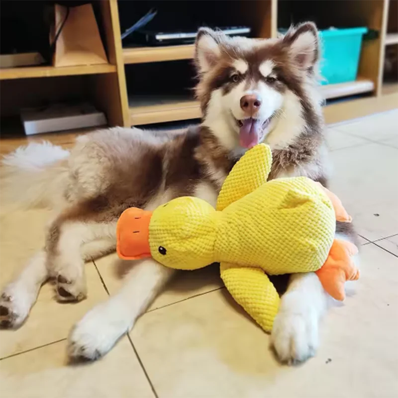Cute Plush Duck Squeaky Toy for Dogs