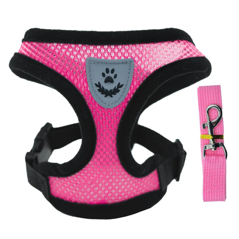 Adjustable Mesh Dog Harness & Walking Leash Set