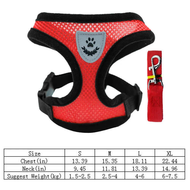 Adjustable Mesh Dog Harness & Walking Leash Set