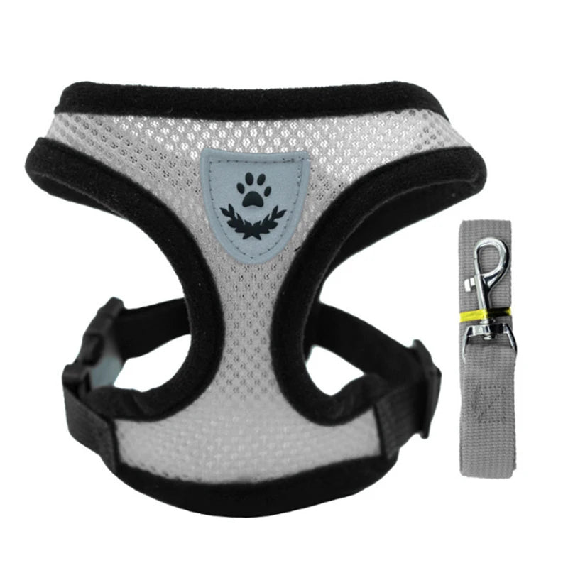 Adjustable Mesh Dog Harness & Walking Leash Set
