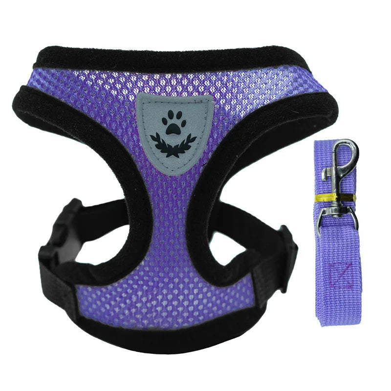 Adjustable Mesh Dog Harness & Walking Leash Set