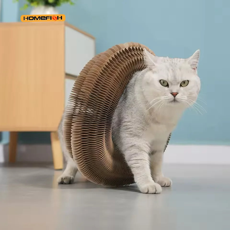 Organ-Shaped Cat Scratching Board & Lounger
