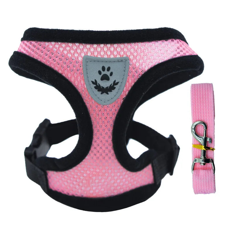 Adjustable Mesh Dog Harness & Walking Leash Set