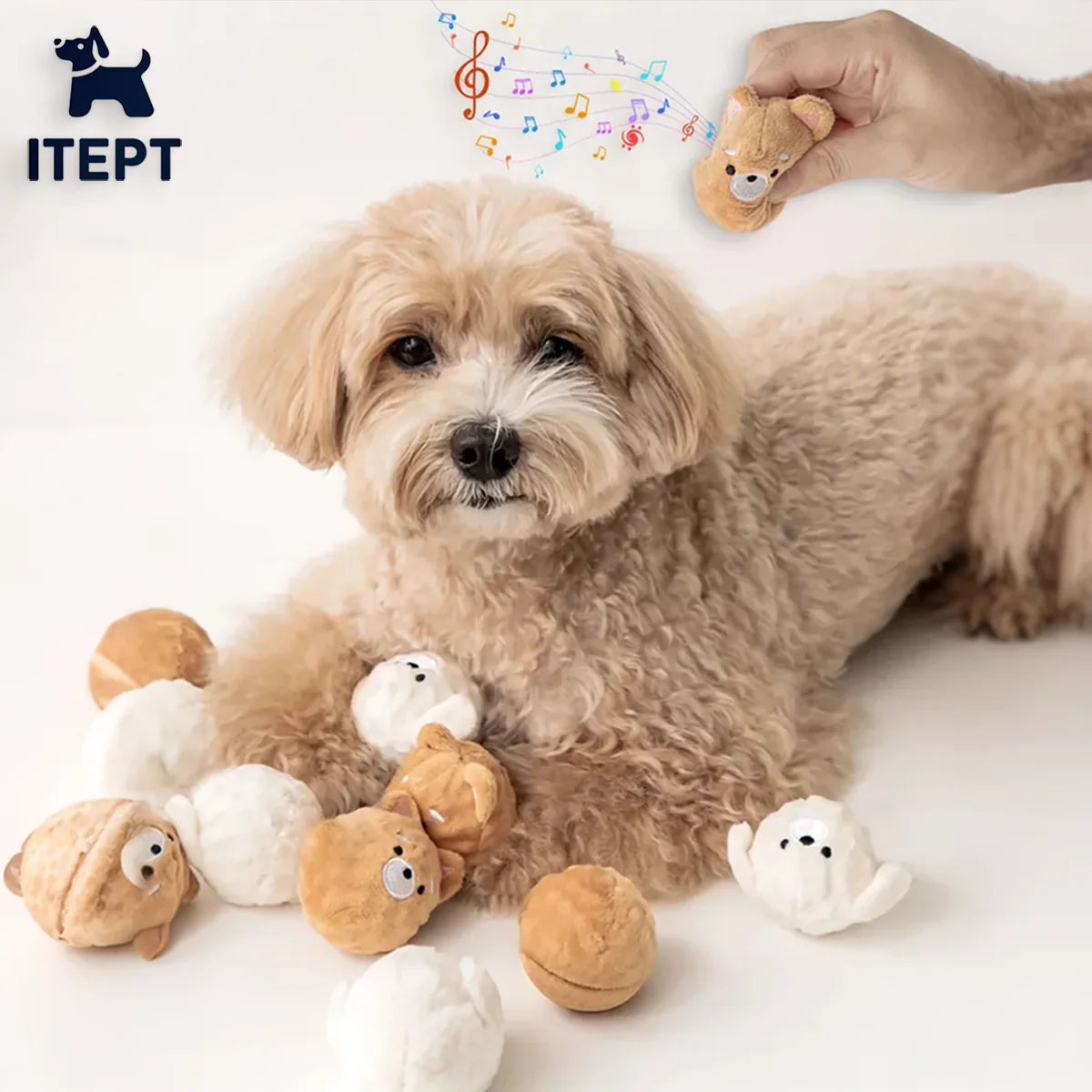 Spiked Squeaky Puppy Ball Toy for Teeth Cleaning