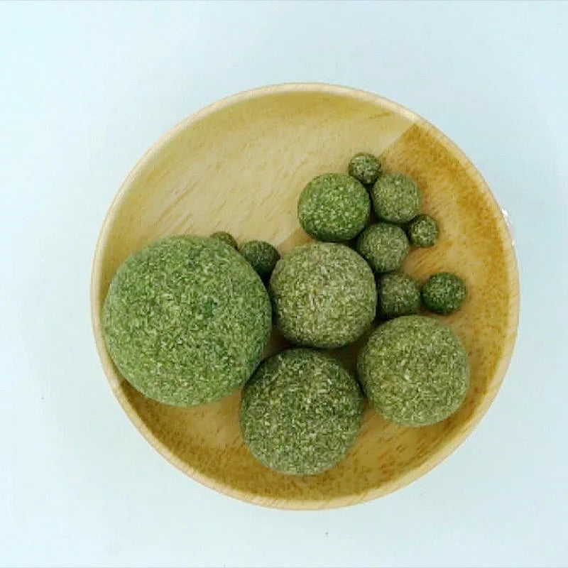 Edible Mint Catnip Ball Toy for Cats
