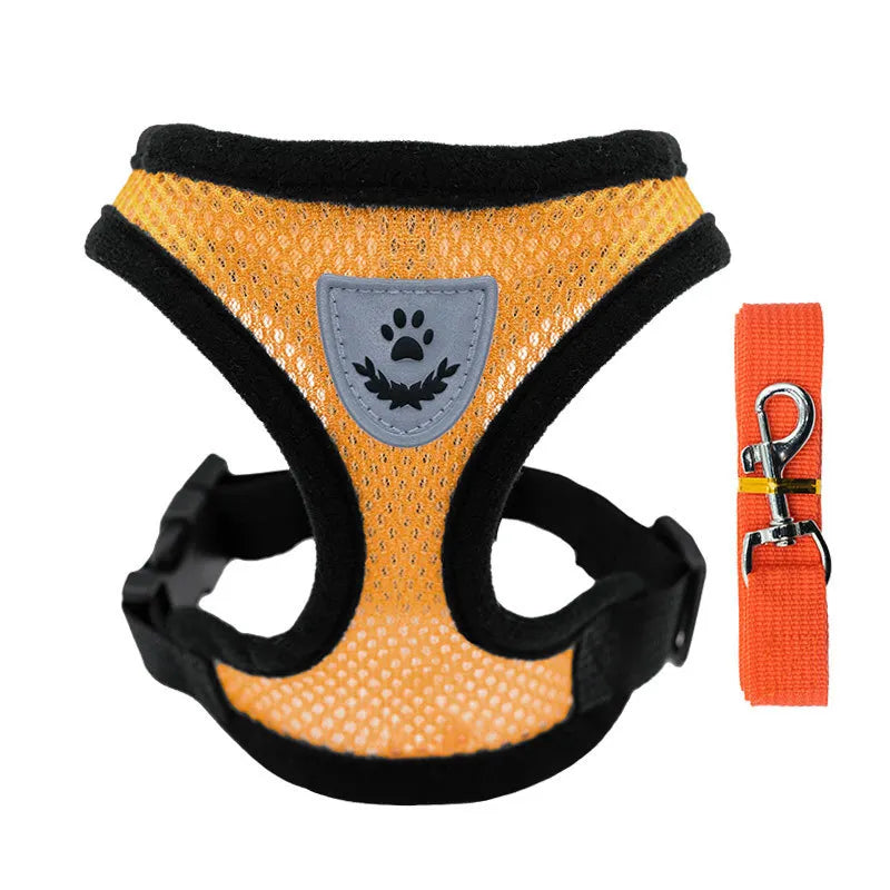 Adjustable Mesh Dog Harness & Walking Leash Set
